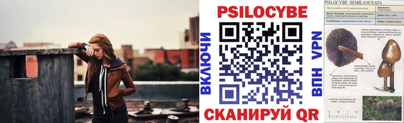 Купить  Усть-Лабинск  Галлюциногенные грибы Psilocybe 